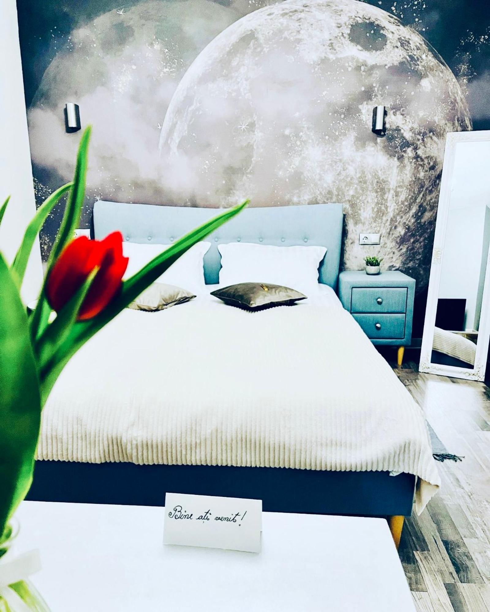 Moon And Sun Apartments 锡比乌 外观 照片