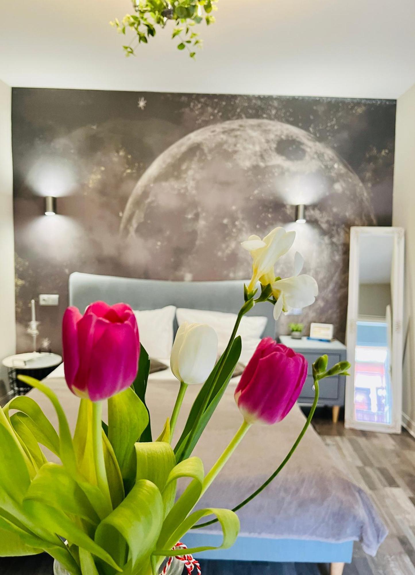 Moon And Sun Apartments 锡比乌 外观 照片