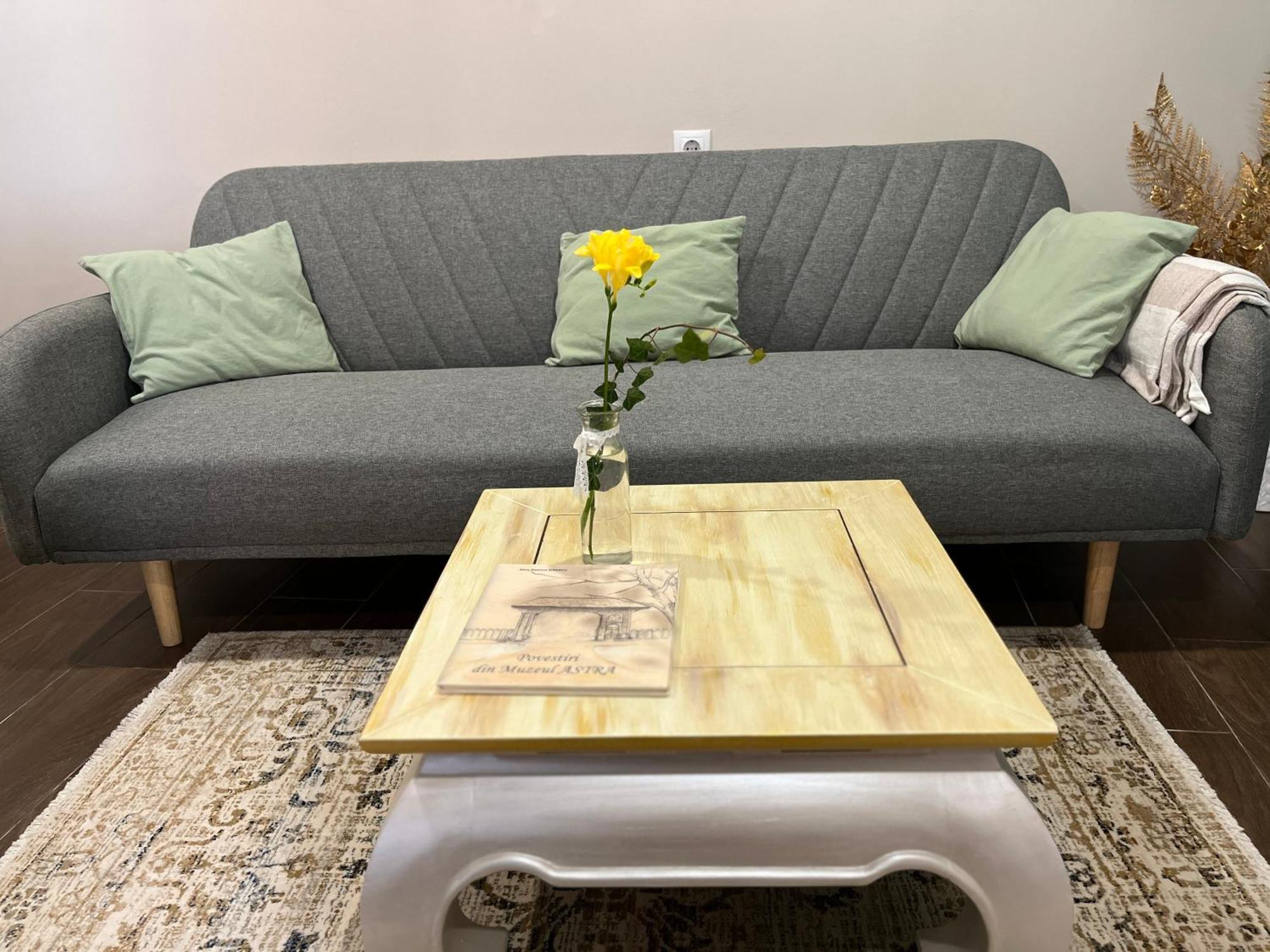 Moon And Sun Apartments 锡比乌 外观 照片