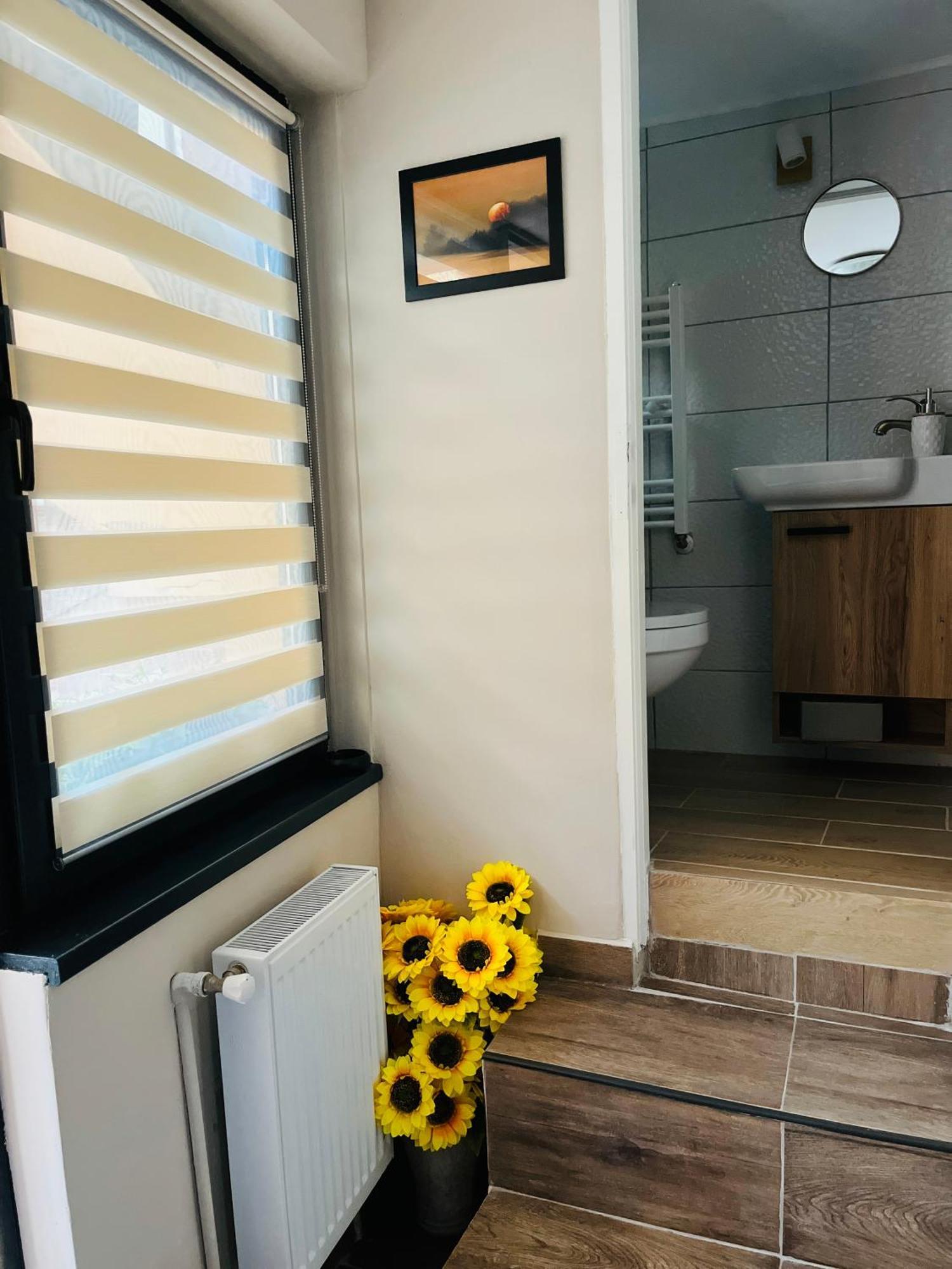 Moon And Sun Apartments 锡比乌 外观 照片
